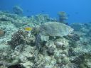 DSC00752.JPG