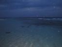 DSC00755.JPG