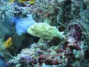 DSC00758.JPG
