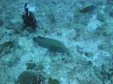 DSC00759.JPG