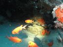 DSC00774.JPG