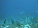 DSC00777.JPG