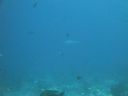 DSC00778.JPG