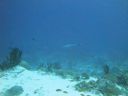 DSC00779.JPG