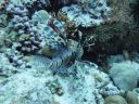 DSC00781.JPG