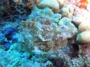 DSC00787.JPG