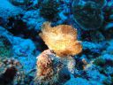 DSC00809.JPG