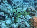 DSC00810.JPG