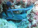 DSC00811.JPG