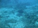 DSC00817.JPG