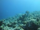 DSC00823.JPG