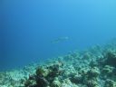 DSC00824.JPG