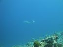 DSC00830.JPG