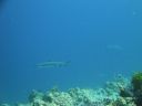 DSC00832.JPG