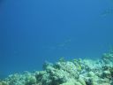 DSC00833.JPG