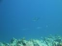 DSC00837.JPG