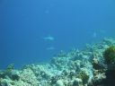 DSC00839.JPG