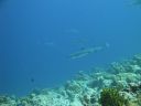 DSC00840.JPG