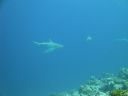 DSC00843.JPG