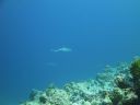 DSC00855.JPG