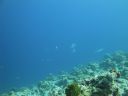 DSC00858.JPG