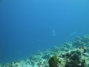 DSC00859.JPG