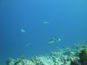 DSC00866.JPG
