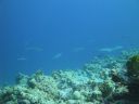 DSC00868.JPG