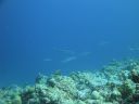 DSC00870.JPG