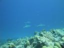 DSC00876.JPG