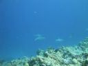 DSC00880.JPG