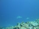 DSC00881.JPG