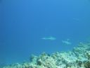 DSC00882.JPG