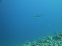 DSC00898.JPG