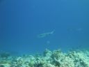 DSC00901.JPG
