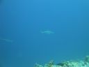 DSC00912.JPG