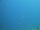 DSC00917.JPG