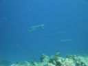 DSC00922.JPG