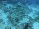 DSC00923.JPG