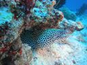 DSC00924.JPG
