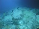 DSC00926.JPG