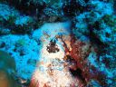 DSC00928.JPG