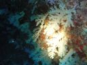 DSC00935.JPG