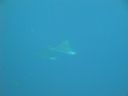DSC00944.JPG