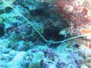DSC00947.JPG