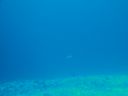 DSC00953.JPG