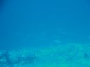 DSC00958.JPG