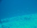 DSC00960.JPG