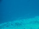 DSC00961.JPG