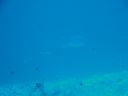 DSC00963.JPG